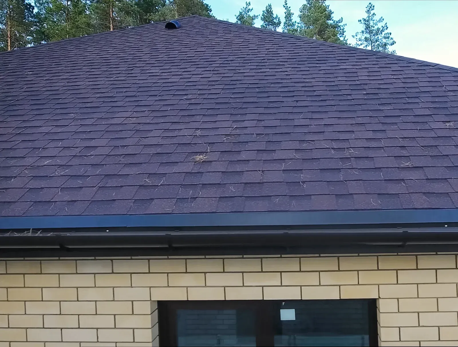 Roof with dark shingles above a tan brick building and windows