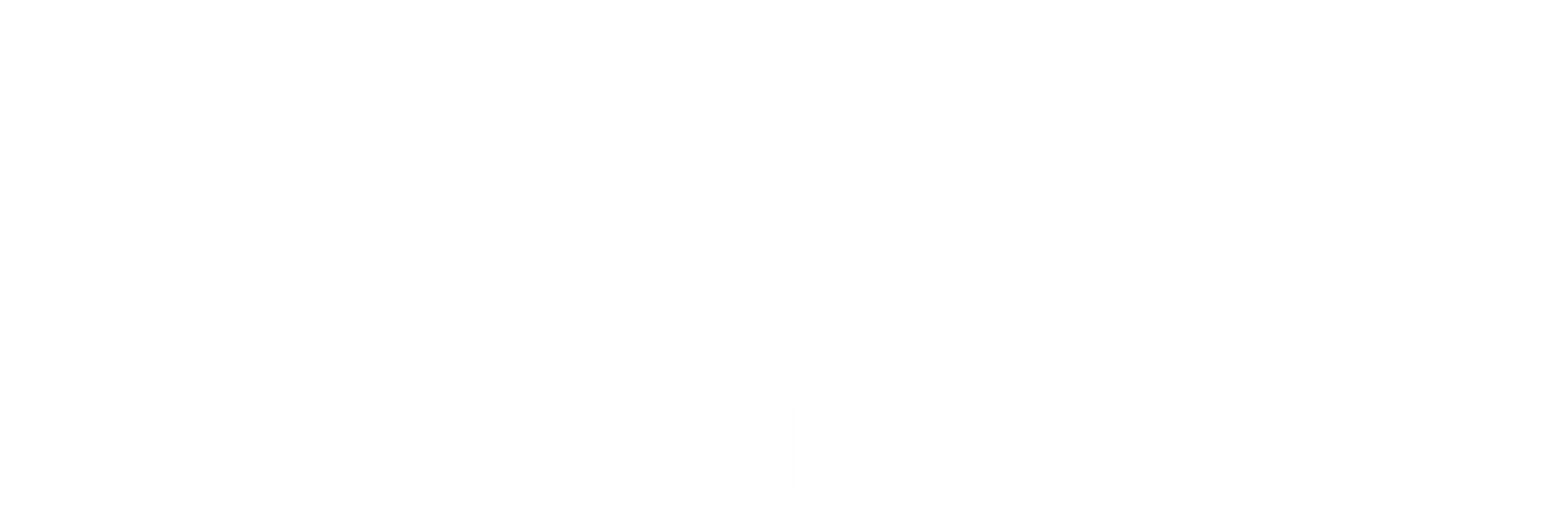 A white background with a few lines on it