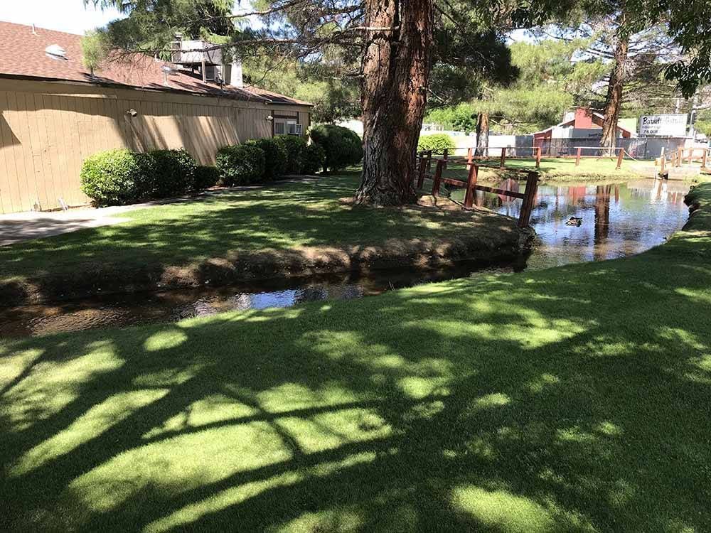 There is a small pond in the middle of a lush green field.