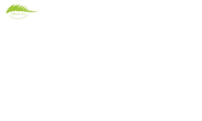 avis client service informatique
