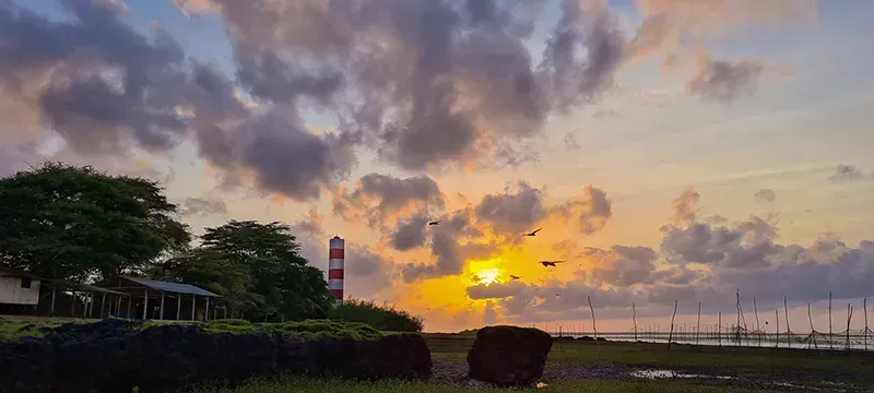 Um farol listrado em vermelho e branco ergue-se numa margem gramada ao pôr do sol, com pássaros voando perto do sol dourado brilhante.