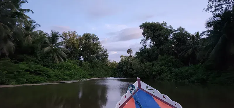 Um barco navega por um rio calmo e estreito, ladeado por exuberantes árvores tropicais, sob um céu suave de crepúsculo.