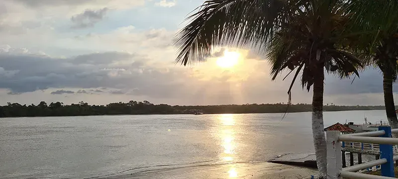 O pôr do sol ilumina um rio calmo, emoldurado por palmeiras em uma margem com um pequeno píer de madeira.