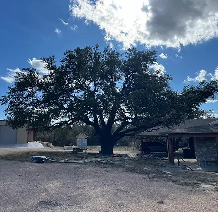 A large tree in front of a house on a cloudy day