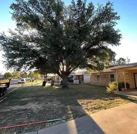 A large tree is in the middle of a yard in front of a house.