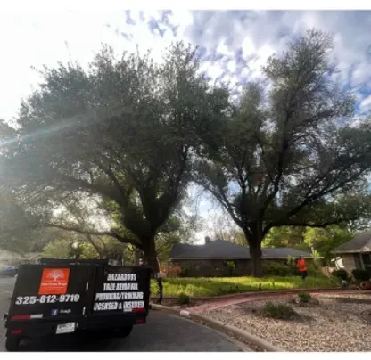 A tree service truck is parked in front of a house