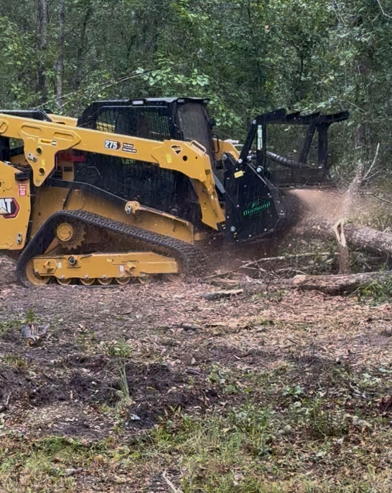 Yellow skid steer mulching trees in a forest, creating wood chips.