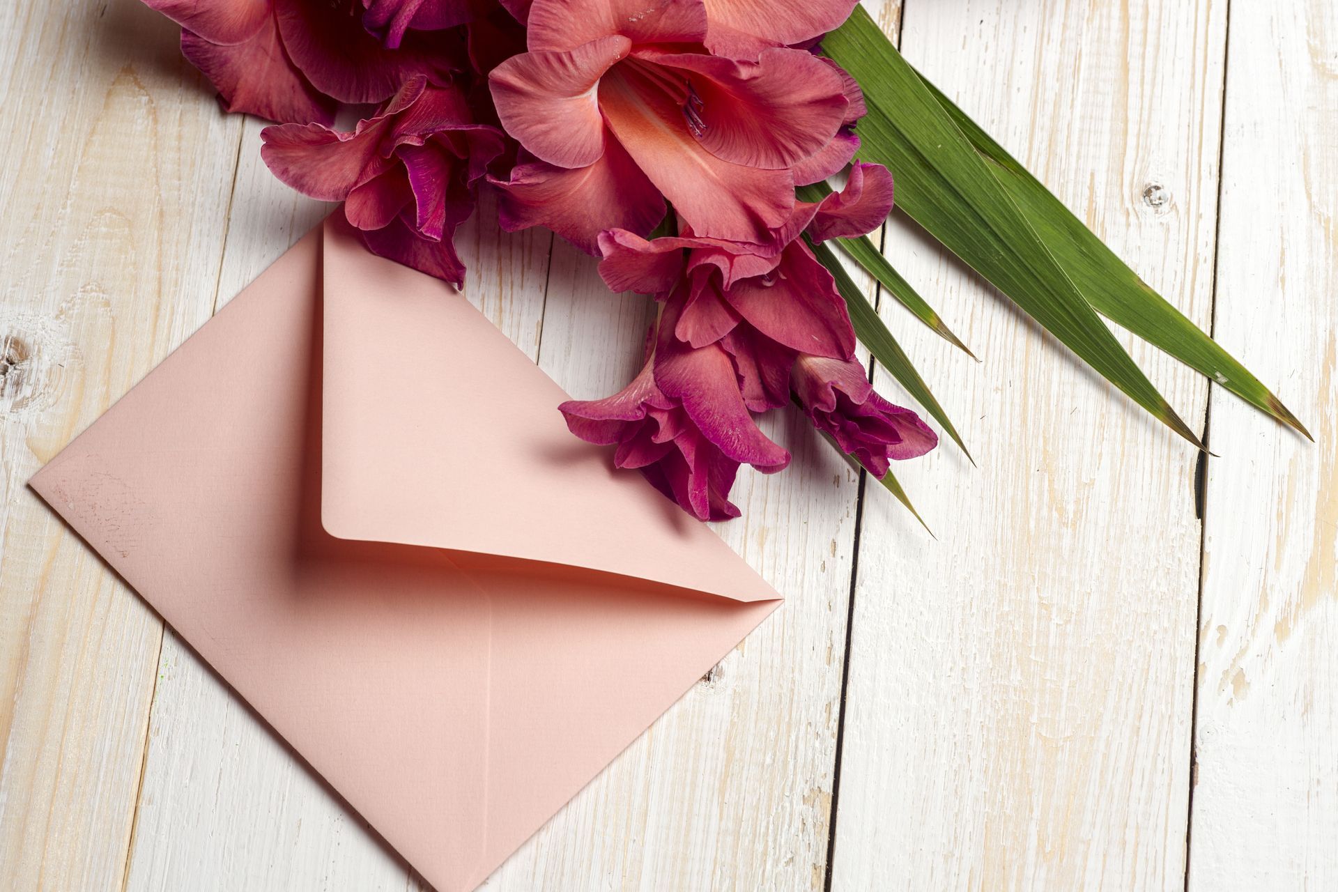 Pink envelope beside magenta flowers on a white wooden background