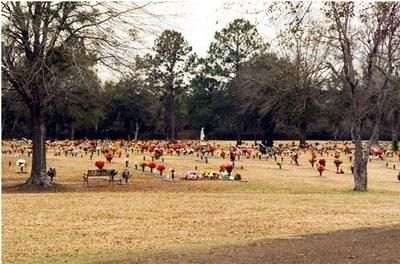 People gathered in a park, with scattered red markers or cones on dry grass under trees.