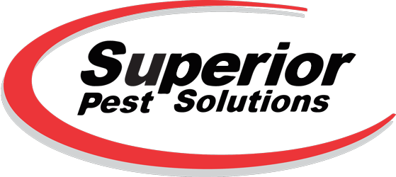 Superior-Pest-Solutions