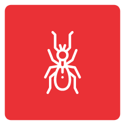 Ant-Icon-Mobile