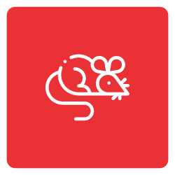 Rodent-Icon-Mobile