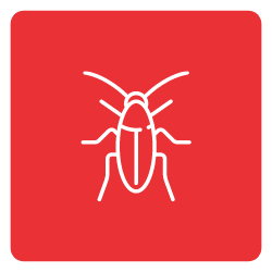 Roach-Icon-Mobile