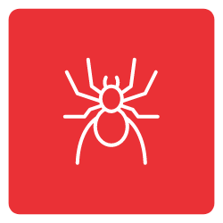 Spider-Icon-Mobile