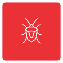 Stink-Bug-Icon-Mobile