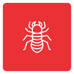 Termite-Icon-Mobile