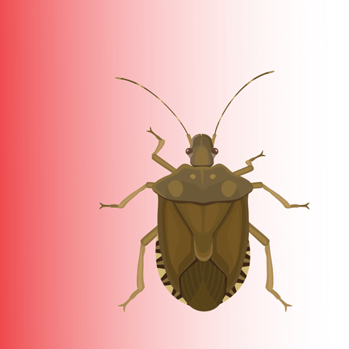Stink-Bug-Cartoon