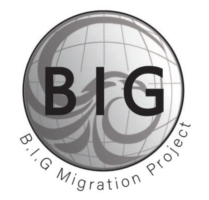 Logo of the B.I.G Migration Project: globe with stylized wing shapes, 