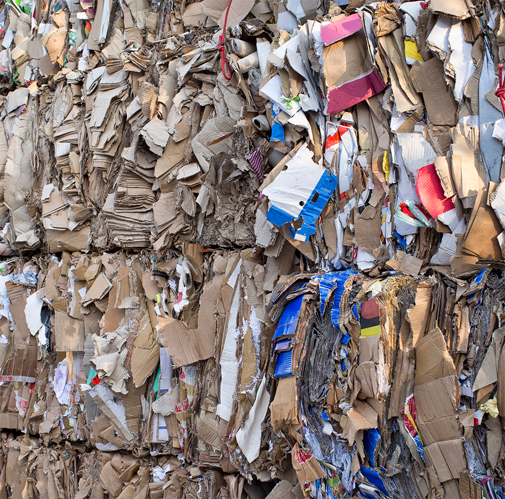 Cardboard waste