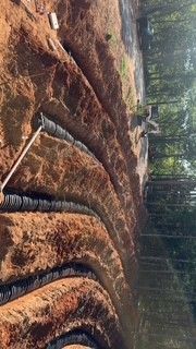 Wooded hillside with terraced trenches and exposed soil around black irrigation pipes, with a worker in the distance