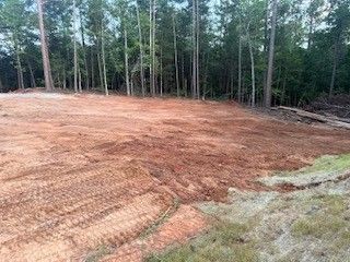Cleared dirt lot beside a forest, with tire tracks and green grass in the foreground