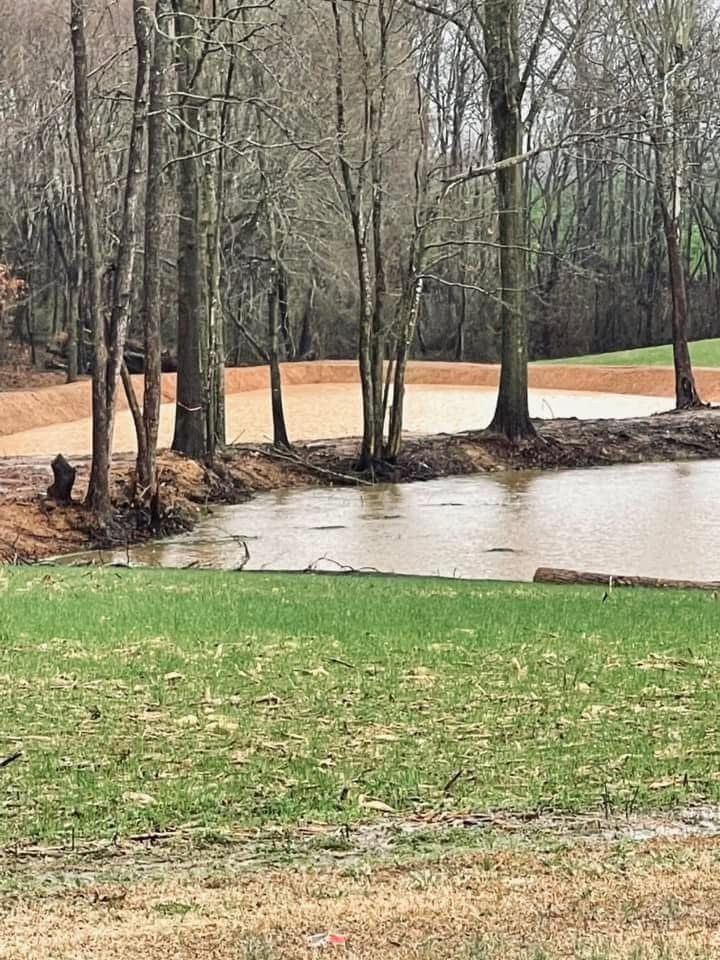 Flooded wooded area with bare trees beside a muddy pond and green grass