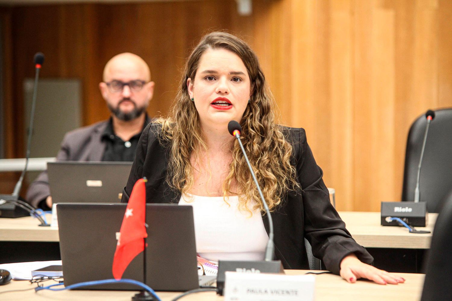 imagem paula vicente