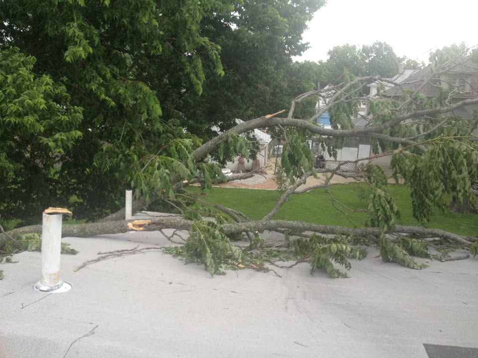 Tree limb fallen across road near a house, blocking the pavement after a storm.