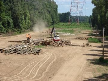 cutting down trees