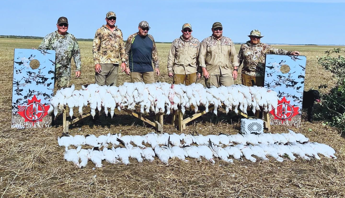 hunt geese in Canada with Outfitter