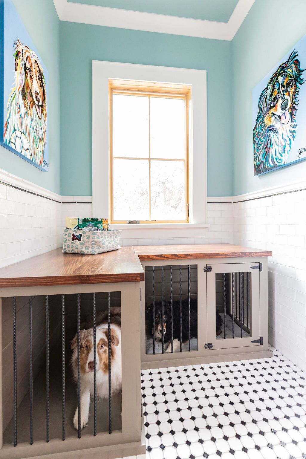 A dog is in a cage in a room next to a window.