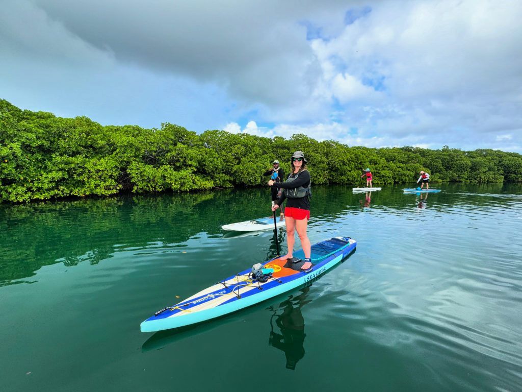 Paddleboarders on calm green water near mangrove shore under cloudy sky