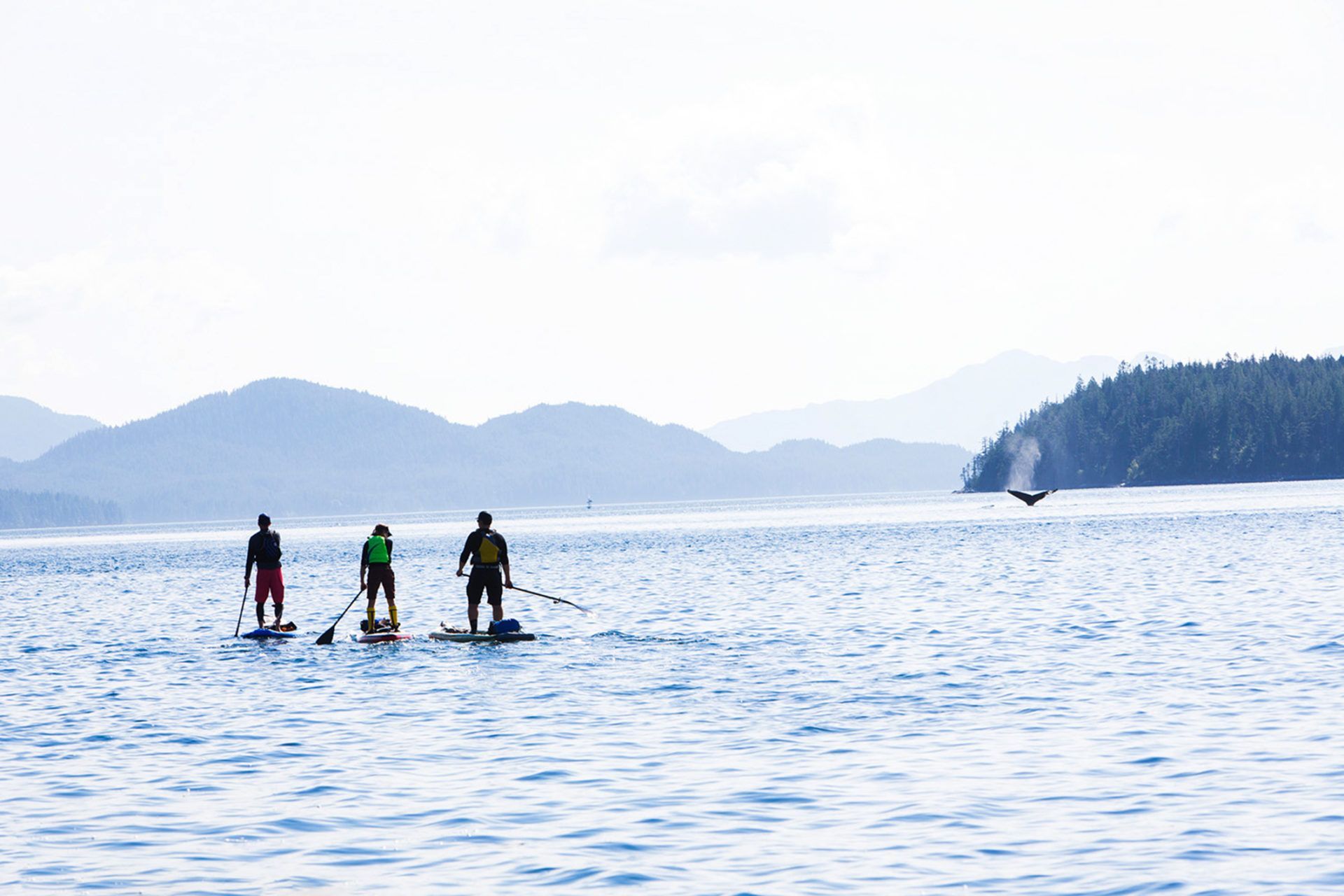 Three people paddle boarding on a calm lake with mountains and a forested shoreline in the distance