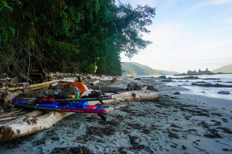 Kayaks on a driftwood-strewn beach beside dense trees and a rocky shoreline at dawn