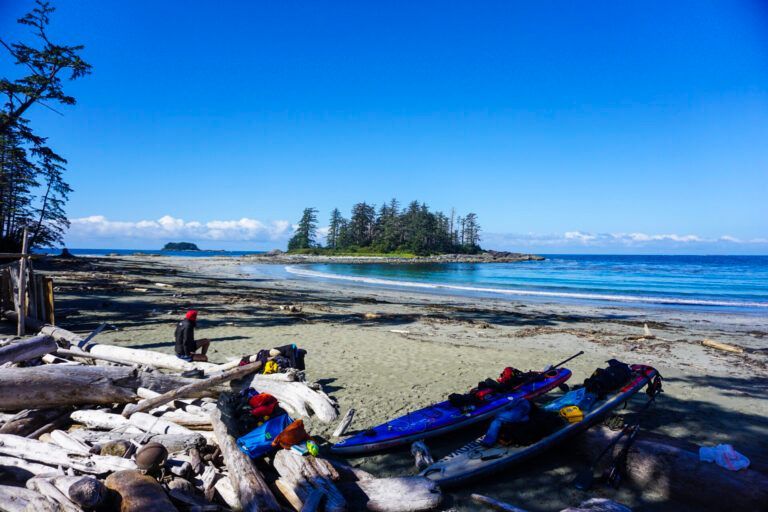 Rocky beach with driftwood, a calm blue ocean, and a small forested island under a clear sky