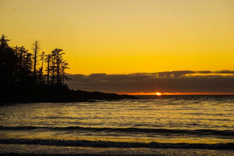 Sunset over a calm ocean, with silhouetted trees on the left and orange sky above