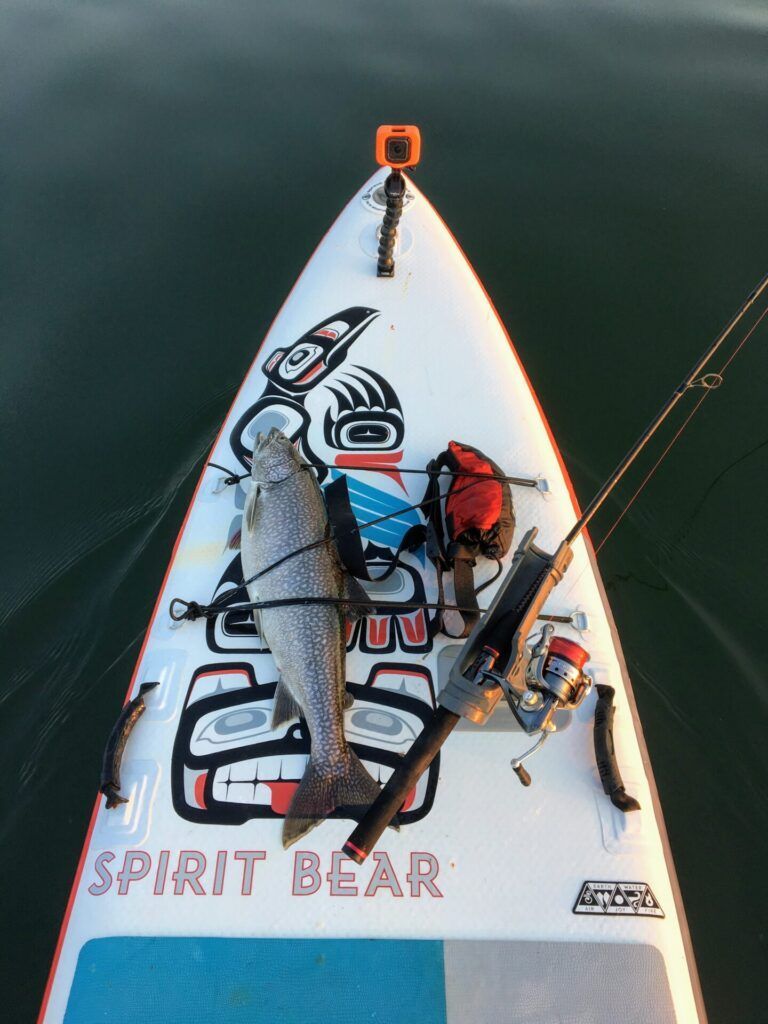 Top-down view of a white kayak with colorful gear and a person on calm dark water