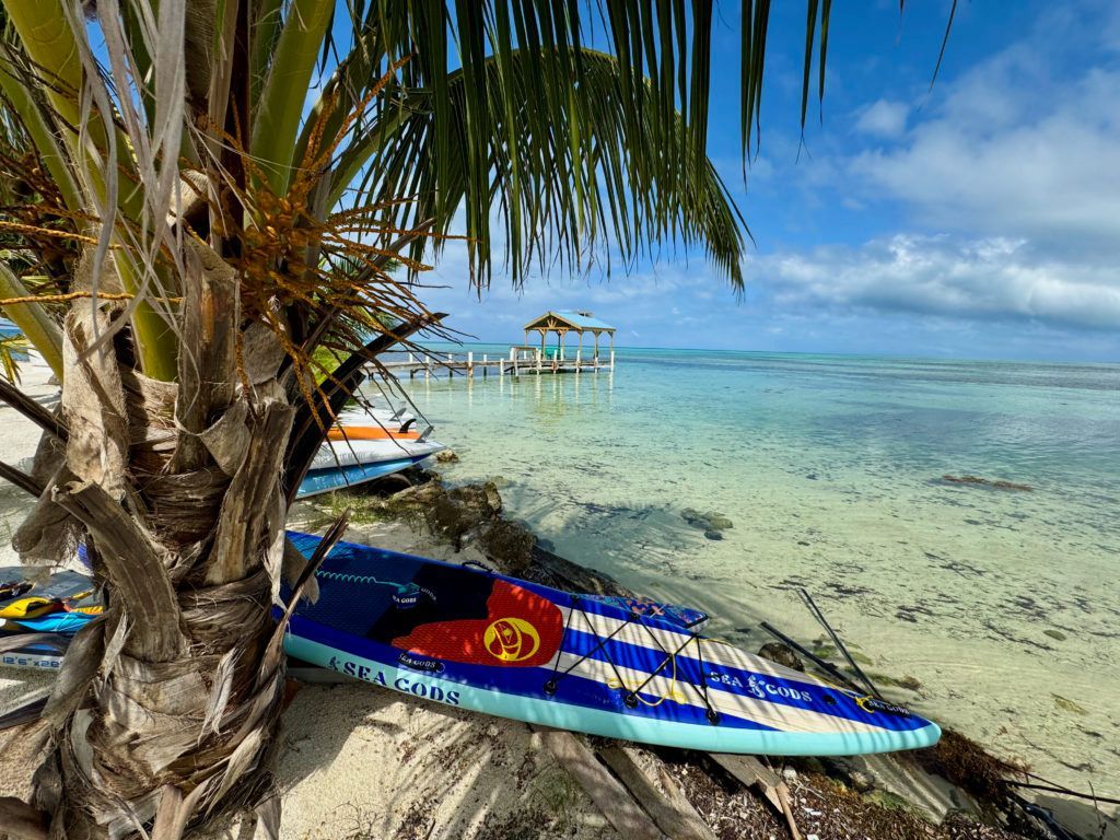 Palm tree on a tropical beach with colorful kayaks on clear turquoise water