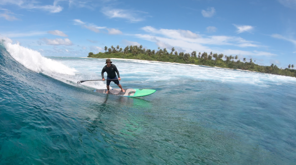 Surfer riding a turquoise wave near a tropical shoreline with palm trees under a blue sky
