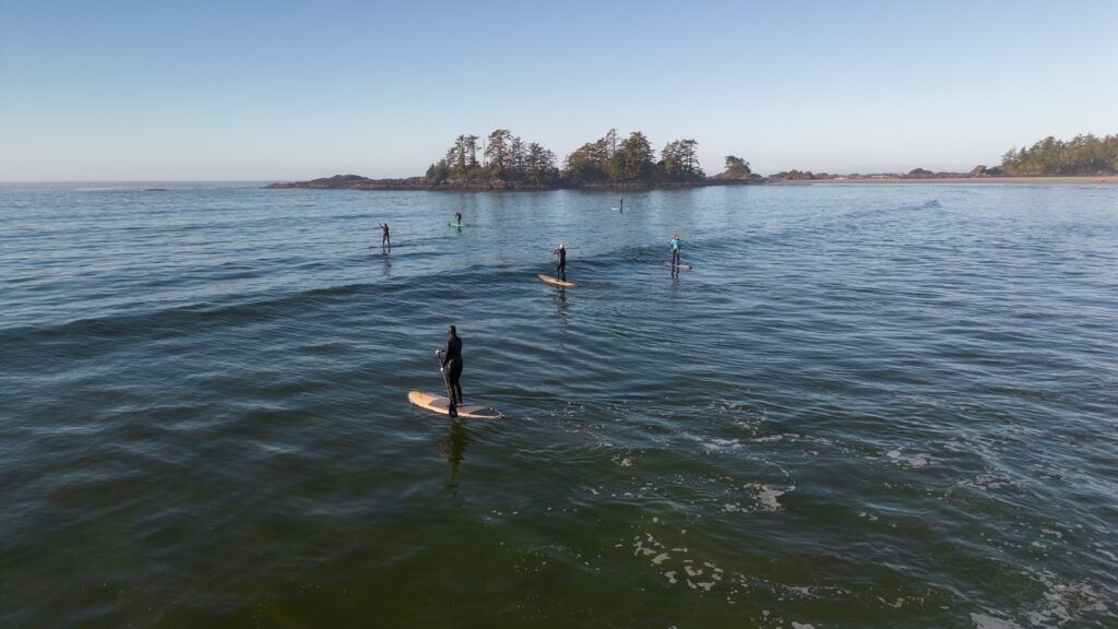 Two people paddleboarding on calm blue water near a distant tree-lined shore