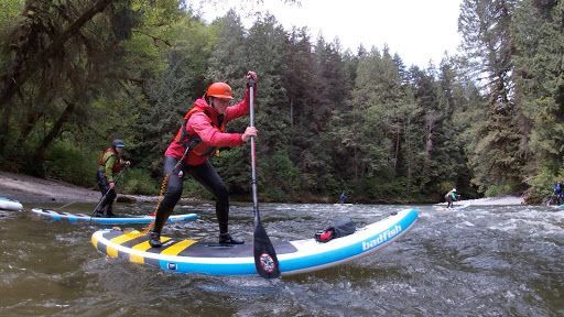 Two people paddle a blue stand-up board through a forest river rapids.