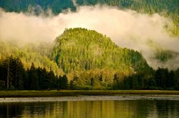 Misty forested mountain reflected in a calm lake at sunrise