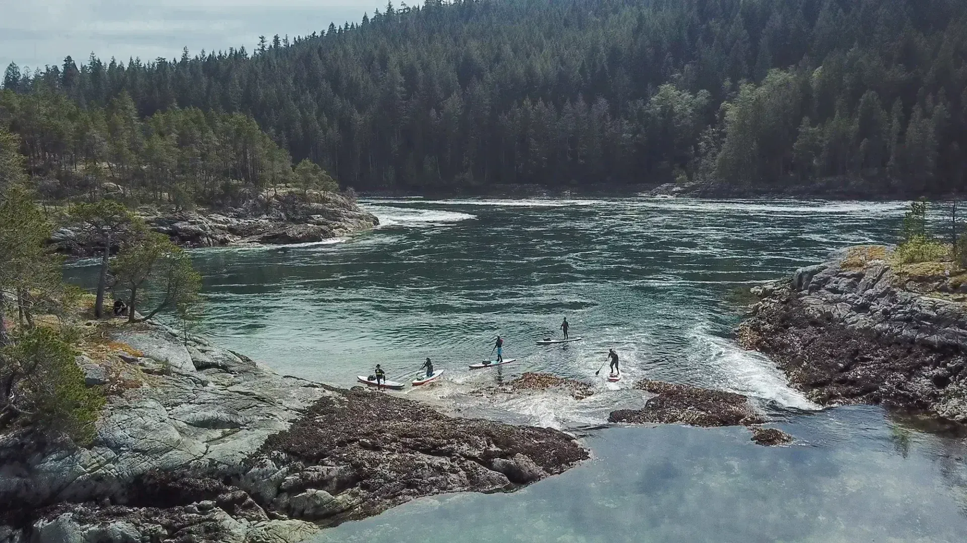 Rapid river cascading over rocks beside a dense evergreen forest under a clear sky