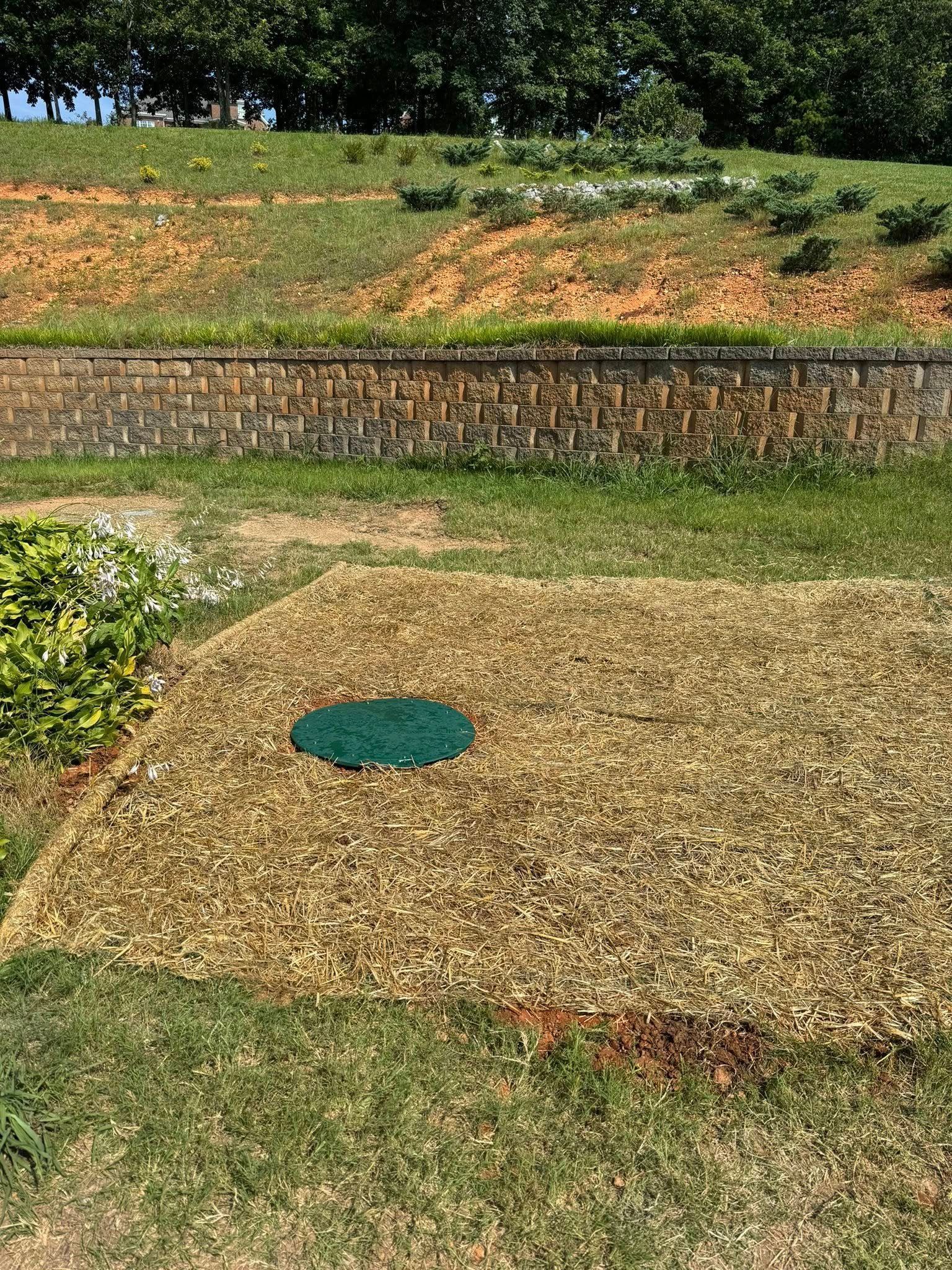 Grassy outdoor area with a rectangular tan patch and a small green circular cover near the center