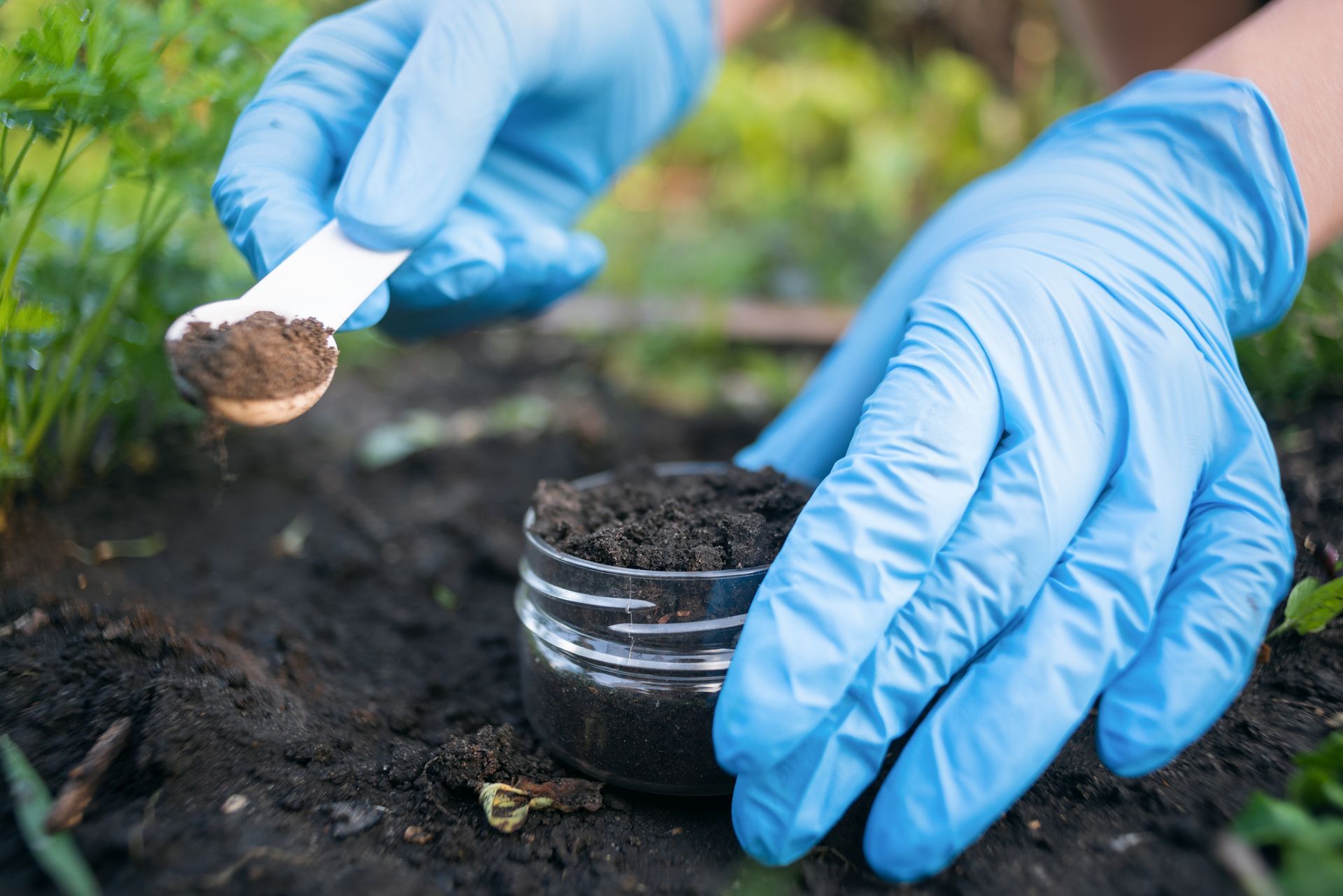 Gloved hands scoop soil into a small pot in a garden bed