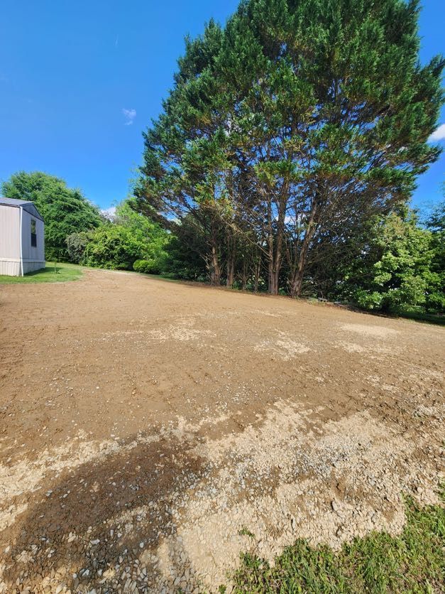 Gravel driveway beside tall pine trees and a small white building under a clear blue sky