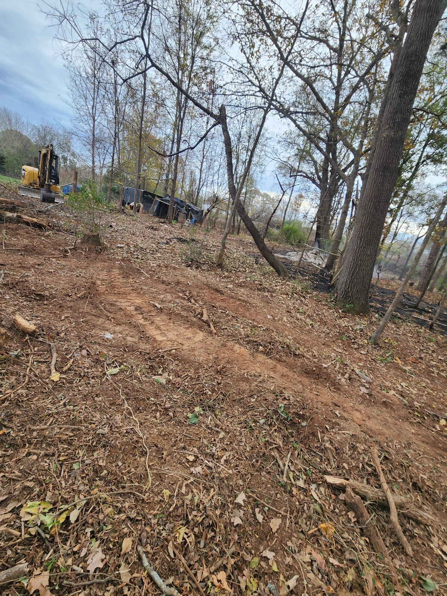Bare wooded slope with leaf litter, trees, and a few construction vehicles in the distance