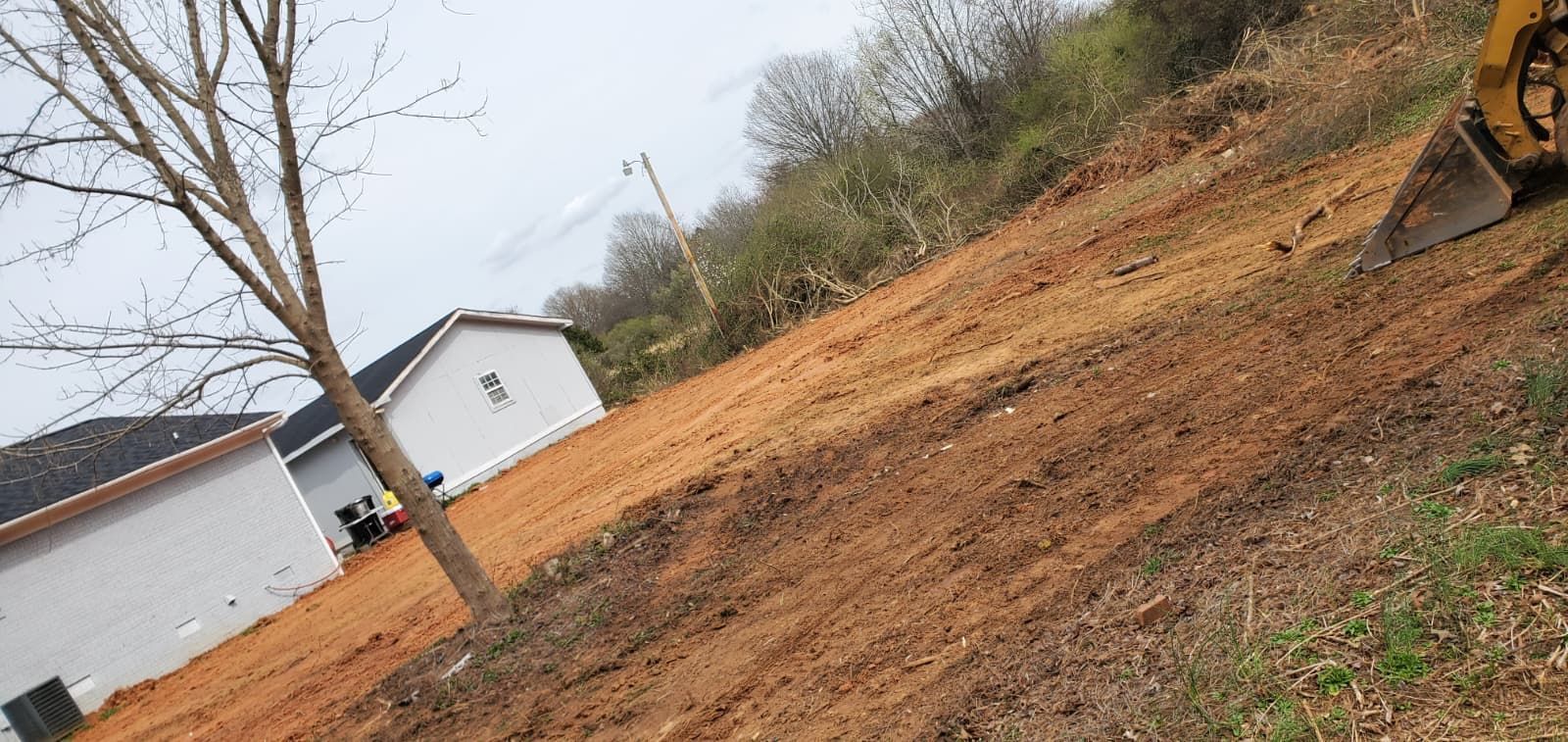 Tilted view of a muddy, leaf-covered hillside with bare trees and a white building in the background