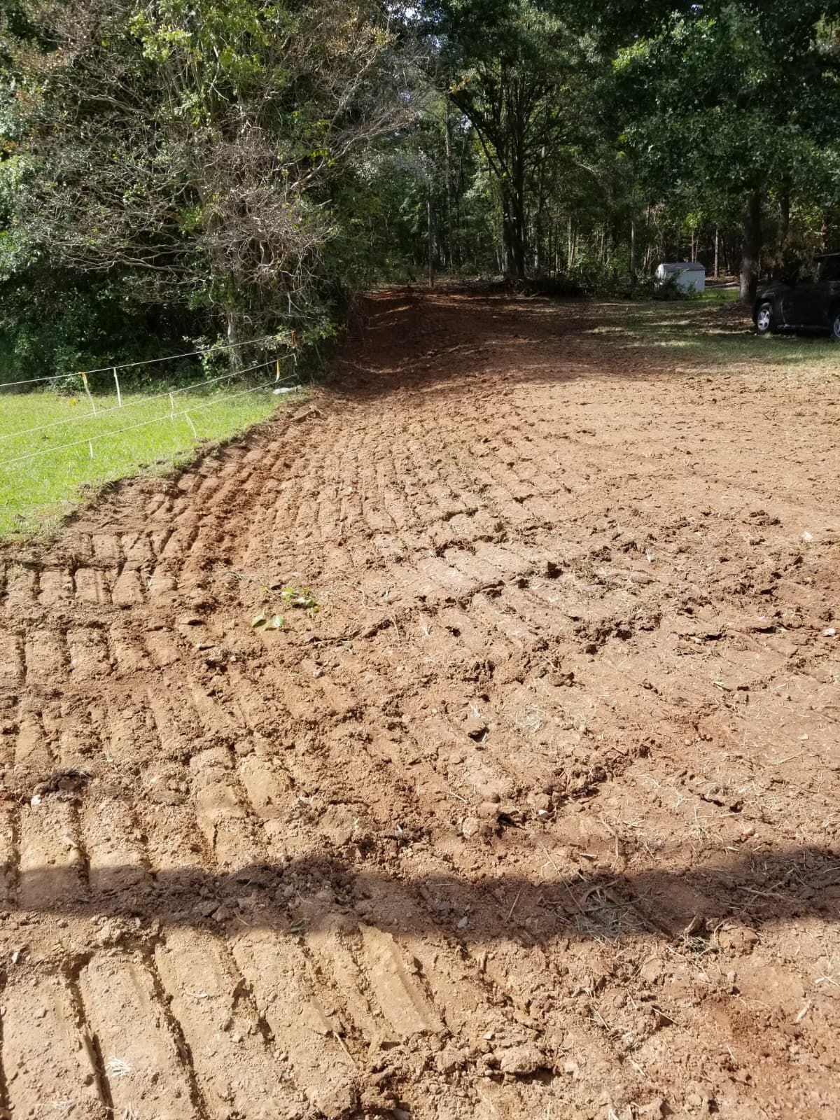 Dirt path with tire tracks through a wooded area, bordered by grass and trees.