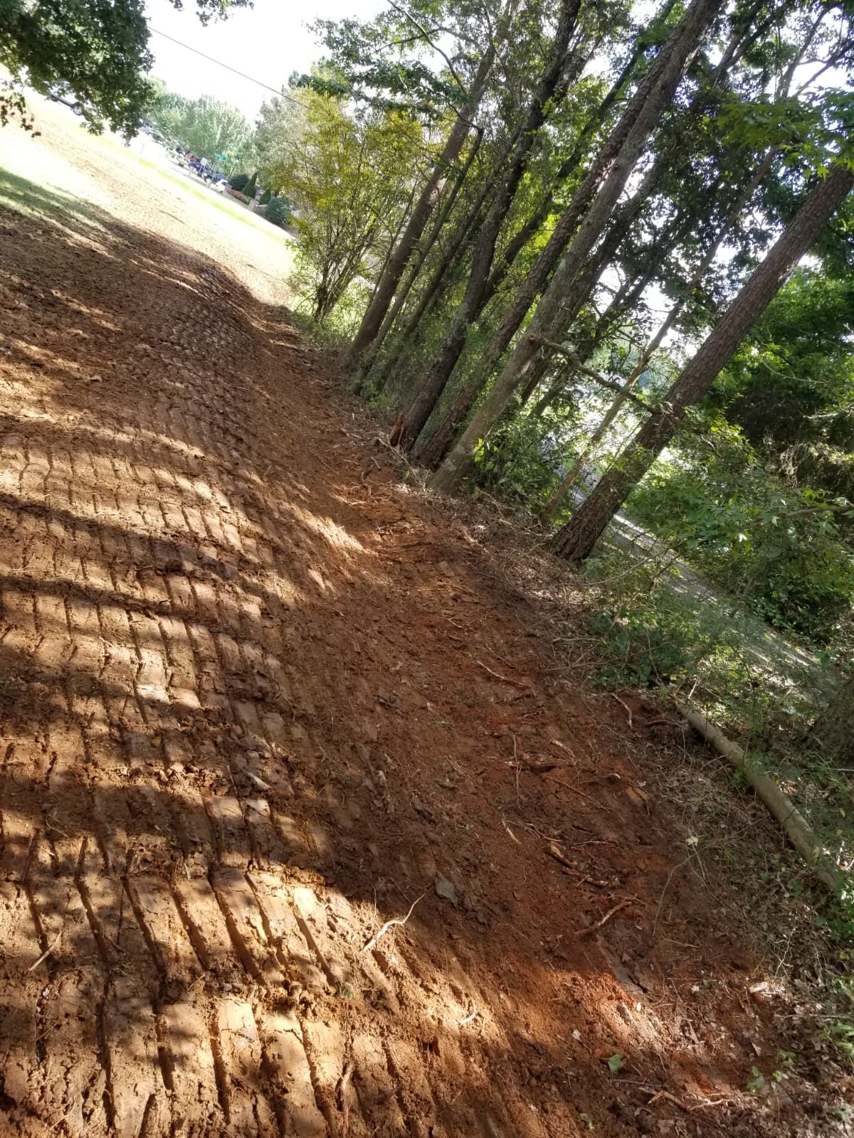 Wooded dirt trail with sunlight and shadows along the path